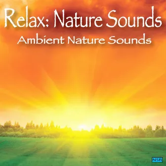 Ambient Nature Sounds by Relax: Nature Sounds