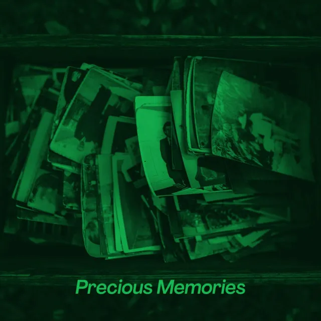 Precious Memories (Acoustic Version)