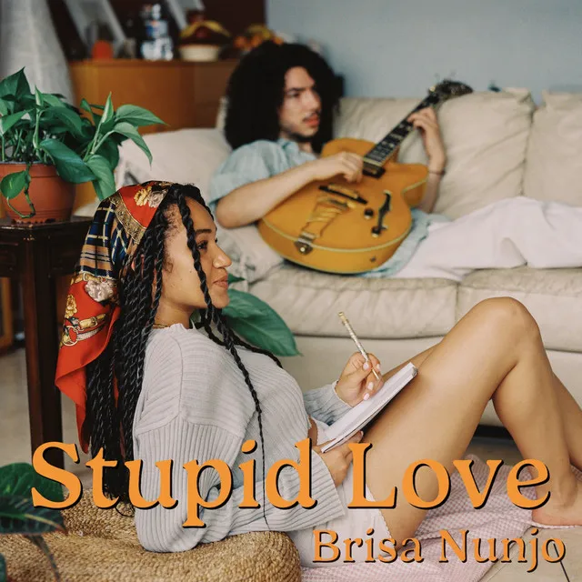 Stupid Love