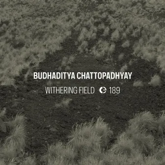 Withering Field by Budhaditya Chattopadhyay