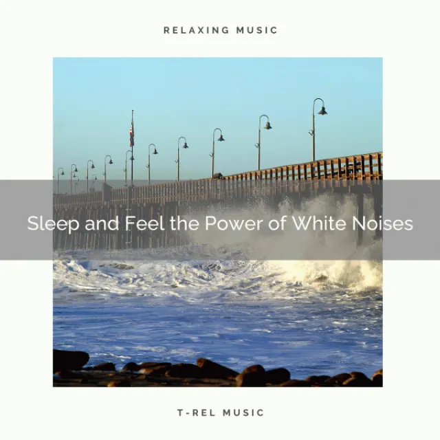 Sleep and Feel the Power of White Noises