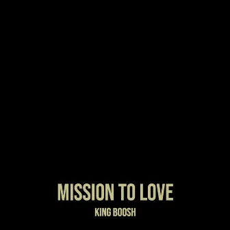 Mission to Love by King boosh