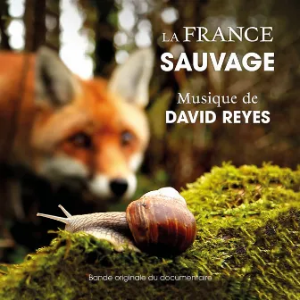 La France Sauvage (Bande originale du documentaire) by David Reyes