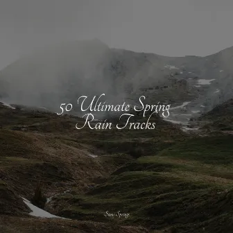 50 Ultimate Spring Rain Tracks by PowerThoughts Meditation Club