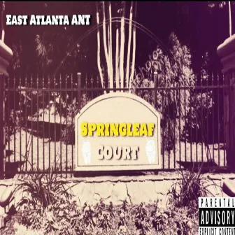 SpringLeaf Court by East Atlanta ANT