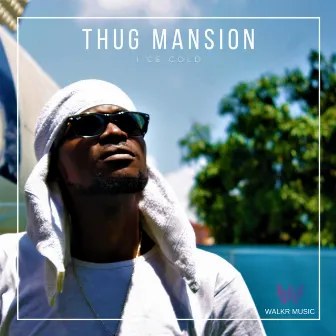 Thug Mansion by Iice Coldd