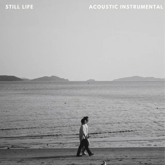 봄여름가을겨울 - Acoustic Instrumental