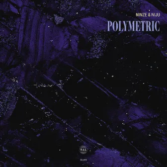 Polymetric EP by Ninze