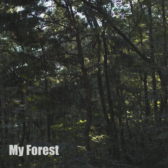 My Forest (Feat. ZELOT)