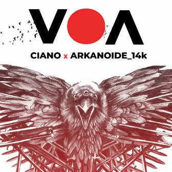 Voa by Ciano