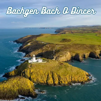 Bachgen Bach O Dincer by Meredydd Evans