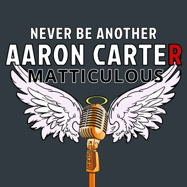 Never Be Another Aaron Carter