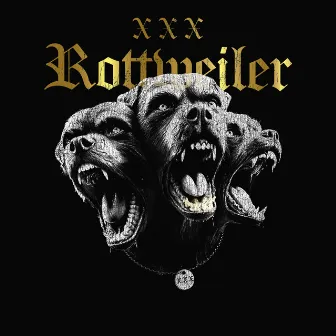 Voff by XXX Rottweiler hundar