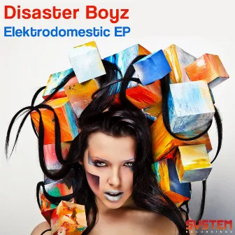 Elektrodomestic EP by Disaster Boyz