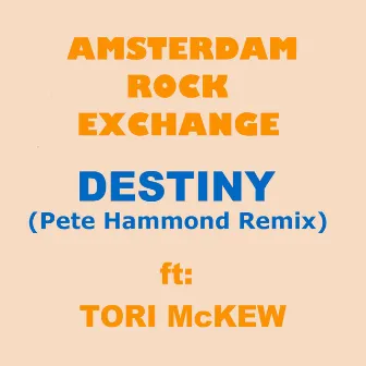 DESTINY (Pete Hammond Remix) by Pete Hammond