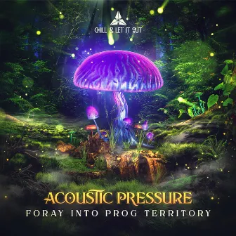 Foray Into Prog Territory by Acoustic Pressure