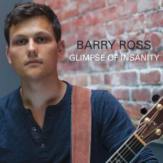 Glimpse of Insanity by Barry Ross