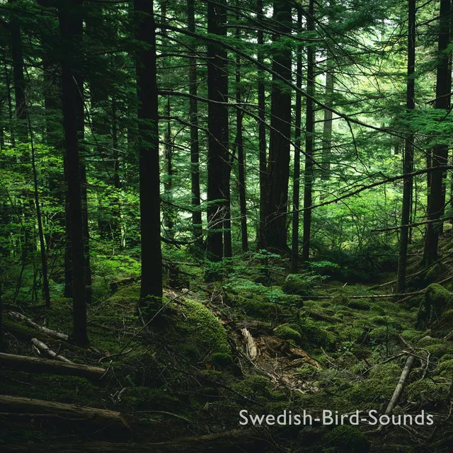 Swedish-Bird-Sounds