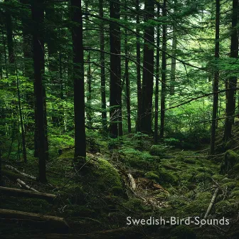 Swedish Morning Birds by Swedish-Bird-Sounds