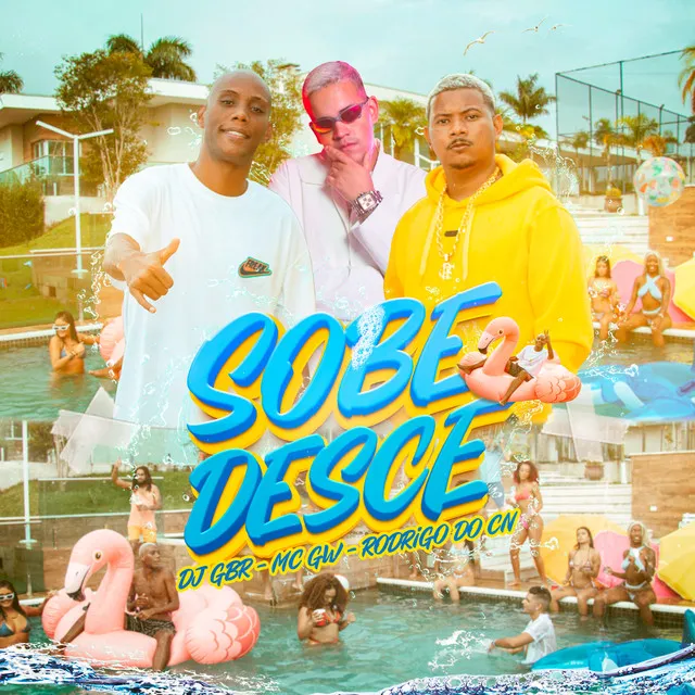 Sobe e Desce - No Pique BBB (feat. Confesser)