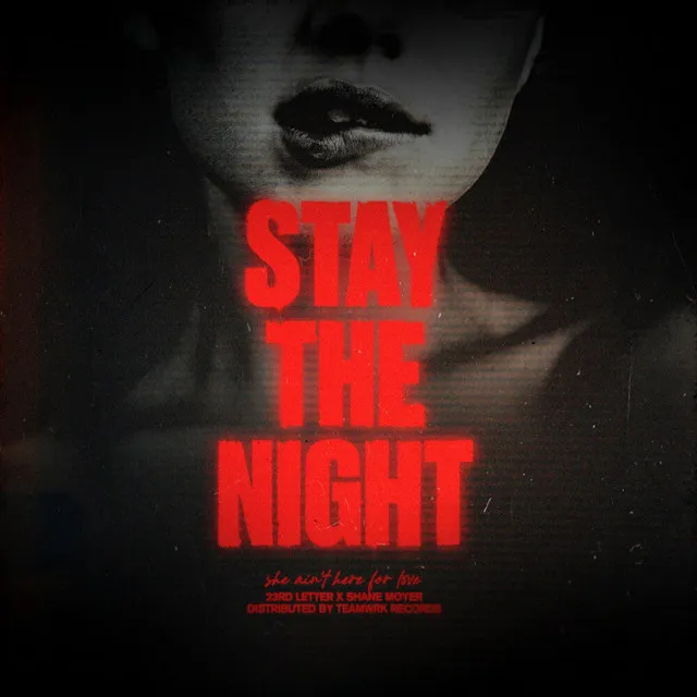 Stay The Night