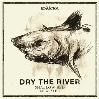 Shallow Bed (Acoustic) by Dry the River