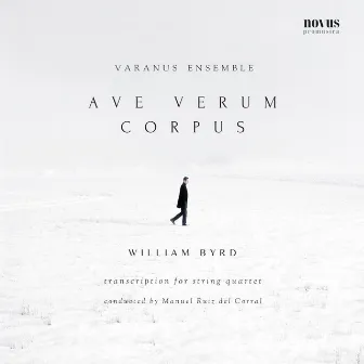 Byrd: Ave Verum Corpus (Transcription for String Quartet) by Manuel Ruiz Del Corral