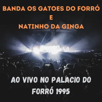 AO VIVO no palacio do forró 1995 by Natinho Da Ginga