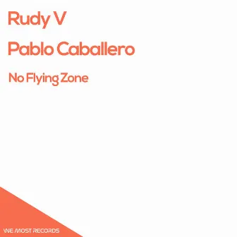 No Flying Zone by Rudy V