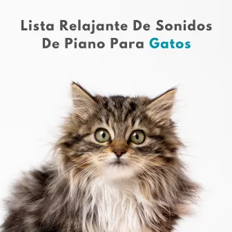 Lista Relajante De Sonidos De Piano Para Gatos by Academia de Música Relajante de Piano Jazz