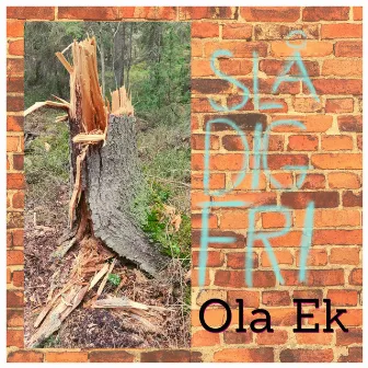 Slå dig fri by Ola Ek