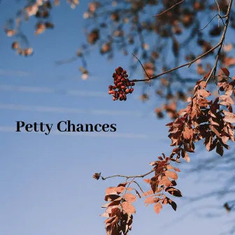 Petty Chances by Mark Bates