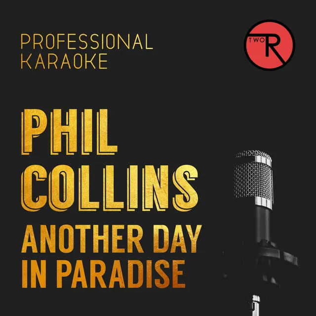 Another Day in Paradise - Karaoke Version