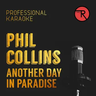 Another Day In Paradise (Karaoke) by Karaoke