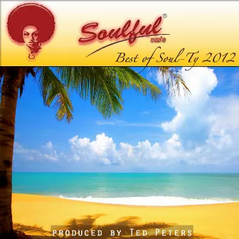 The Best Of Soul-Ty 2012 by Soulful-Cafe