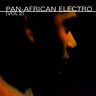 Pan-African Electro (Vol. 2) by Jerome Sydenham