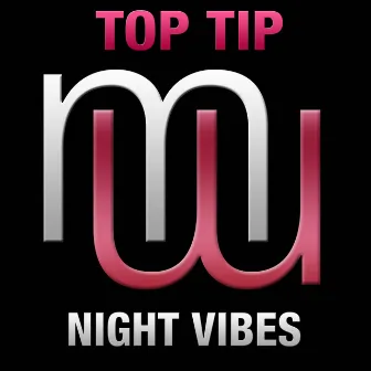 Night Vibes (Radio Edit) by Top Tip