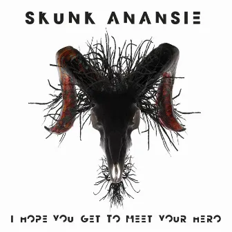 I Hope You Get to Meet Your Hero by Skunk Anansie