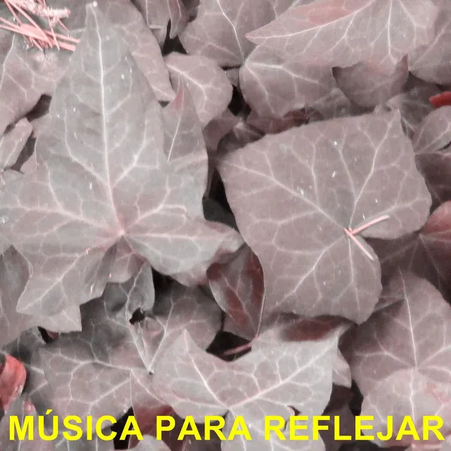 Música Para Reflejar