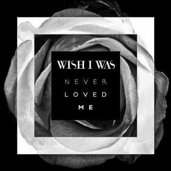 Never Loved Me by Wish I Was