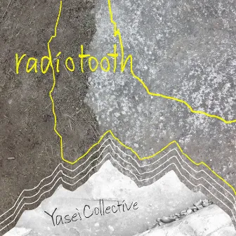 radiotooth by Yasei Collective