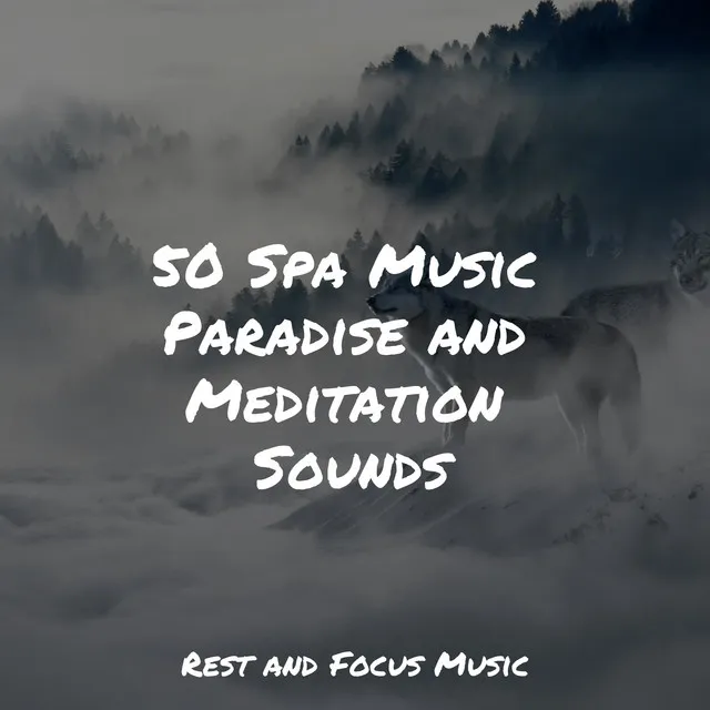 50 Spa Music Paradise and Meditation Sounds