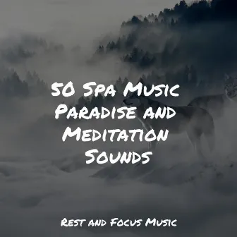 50 Spa Music Paradise and Meditation Sounds by Kinderlieder-Superstar