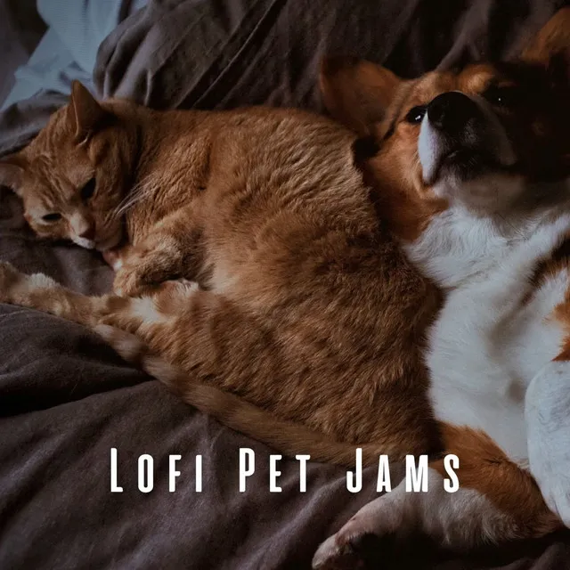 Lofi Pet Jams: Calm and Cozy Tunes for Restful Moments