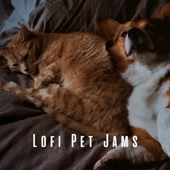 Lofi Pet Jams: Calm and Cozy Tunes for Restful Moments by Music For Pets