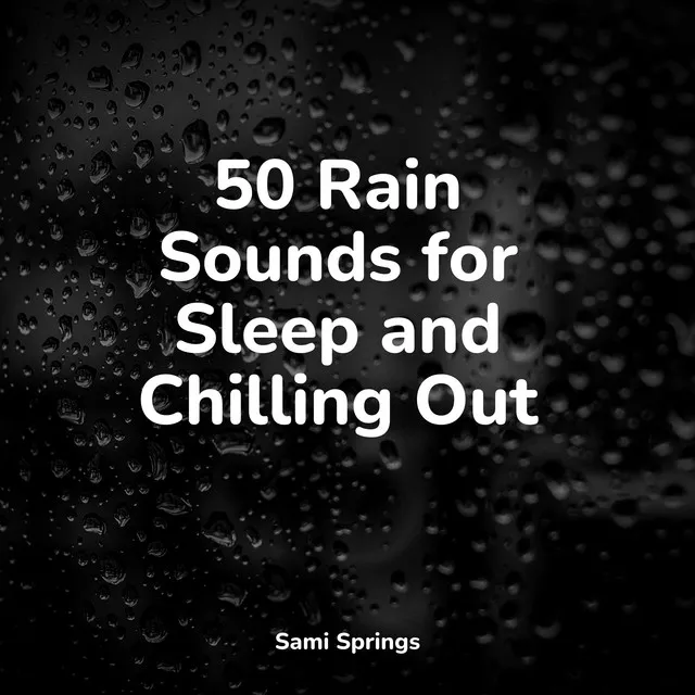 50 Soothing Rain Sounds for Meditation & Meditation