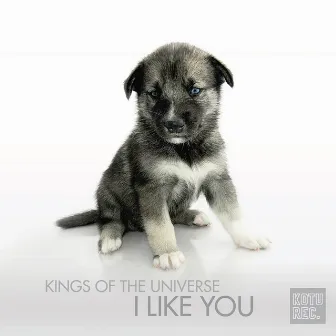 I Like You by Kings of the Universe