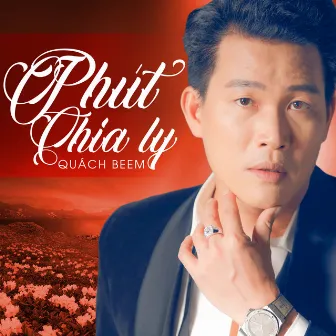 Phút Chia Ly by Quách Beem