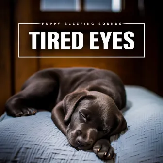 Tired Eyes by Puppy Sleeping Sounds