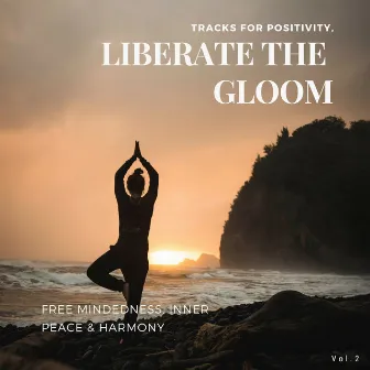 Liberate The Gloom - Tracks For Positivity, Free Mindedness, Inner Peace & Harmony, Vol.2 by White Noise Aura Purification Sounds